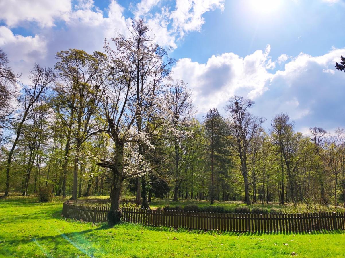 Chambres D'Hotes Du Domaine De L'Isle Civray-de-Touraine エクステリア 写真